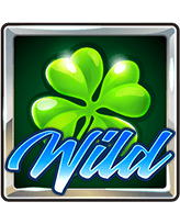 สัญลักษณ์รูปไวด์ ของเกม Casino Win Spin