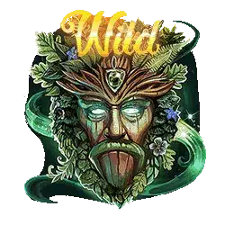 สัญลักษณ์รูปไวด์ ของเกม Faerie Spells