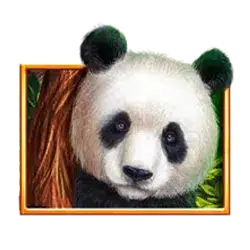 สัญลักษณ์รูปแพนด้า ของเกม Bamboo Rush